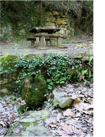 Font de la VinyotaR2.jpg
