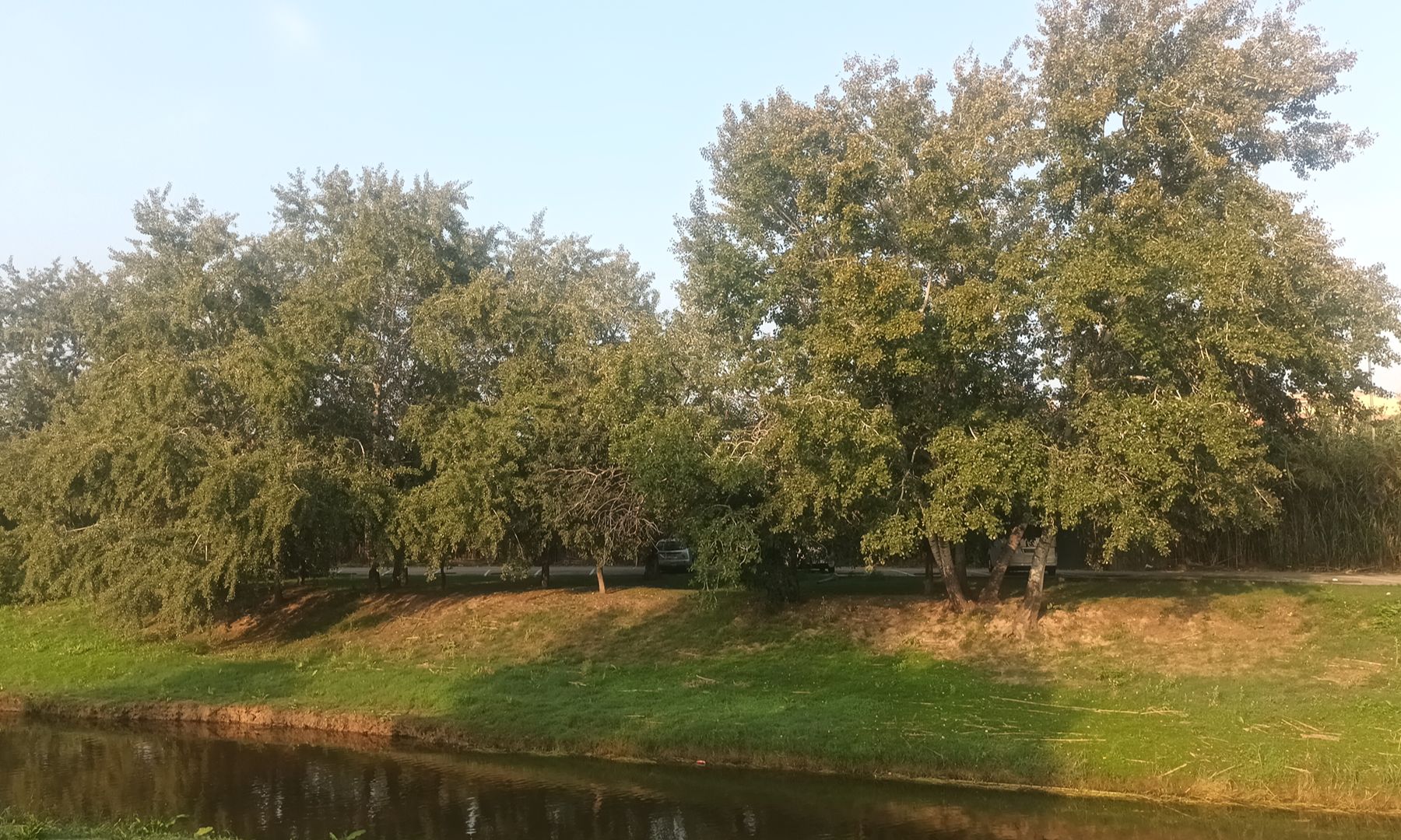 BB2026.06004.jpg