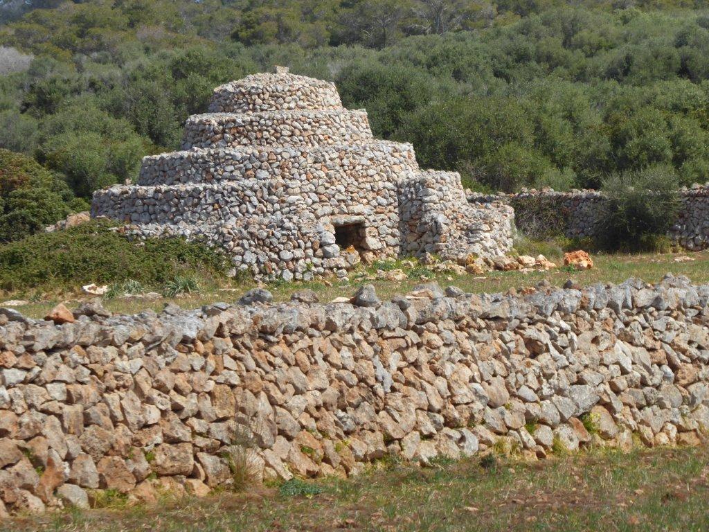 Les barraques servien com a refugi i aixoplug pel bestiar boví i porcí.