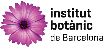 cropped-ibb_logo-3.png