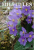 MilfullesPortadaNum10_2025R.png