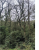 Reixac