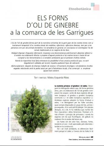 14.-num2-oli de Ginebre.V001R003.JPG