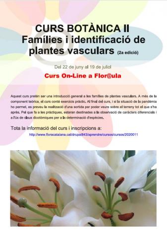 CapturaCursBot2segonaedicio2020R.JPG
