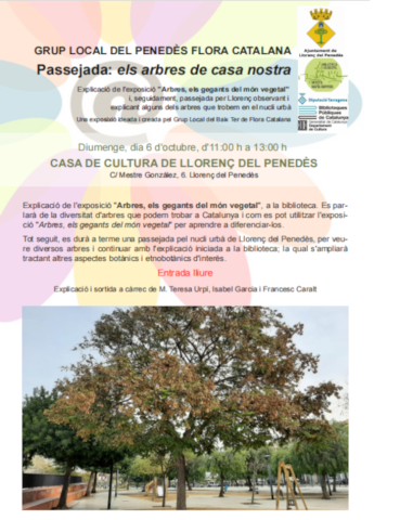 SortidaArbres2024Llorenc.png