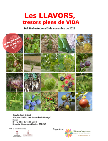 CartellExpoLLavors2025R.pn