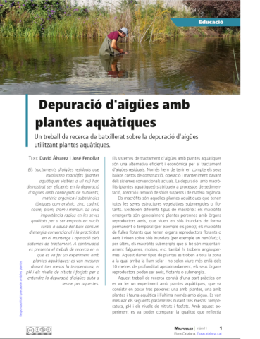 MilfullesDepuracioPlantesAquatiquesR.png