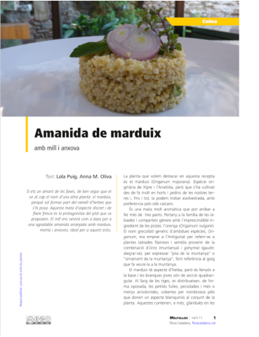 MilfullesPortadaAmanidaMarduix2026R_0.png