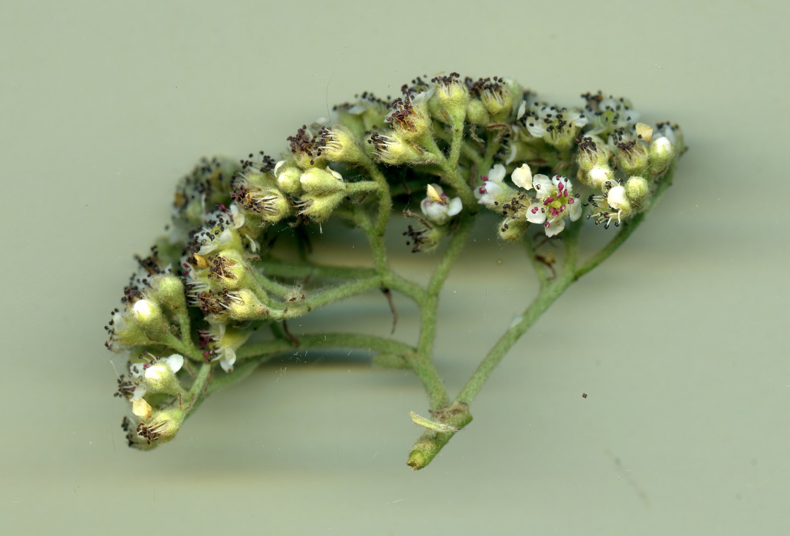 VTax4768.Ex1_.Img3_.jpg