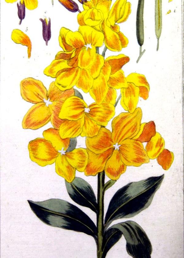 Lam.VTax1067.Lam13