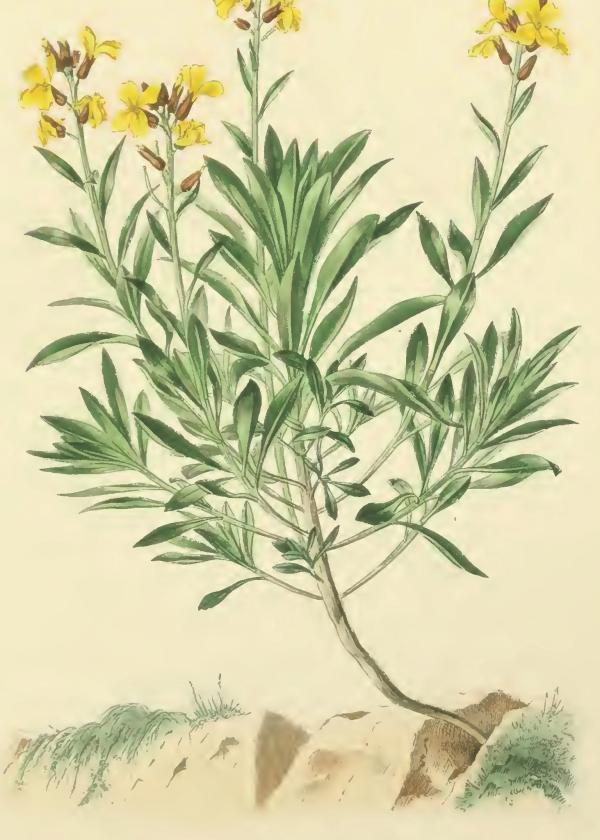 Lam.VTax1067.Lam6