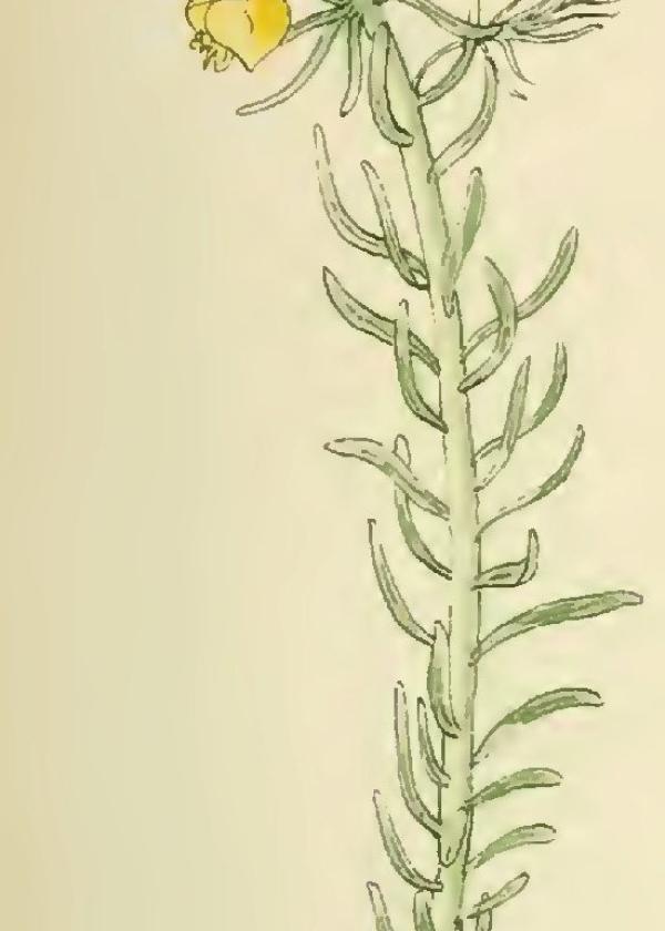 Lam.VTax1748.Lam2