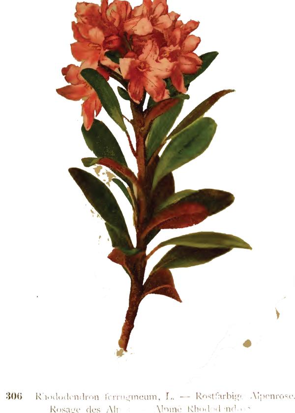 Lam.VTax2144.Lam6