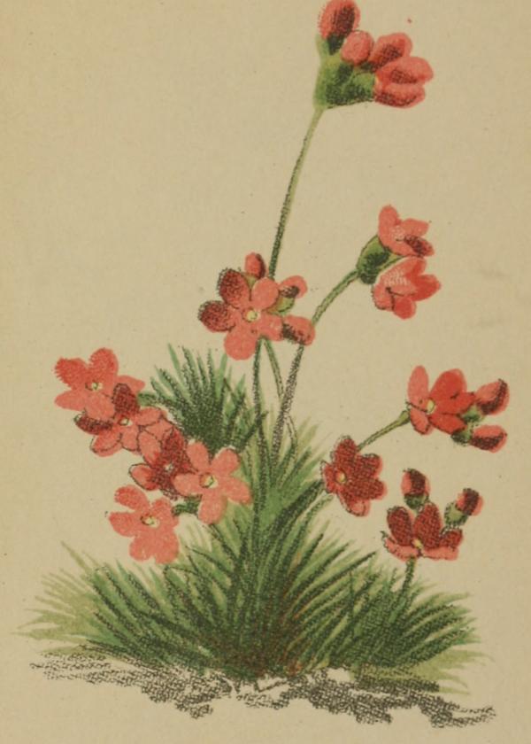 Lam.VTax2180.Lam3