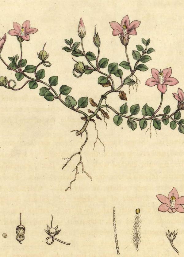 Lam.VTax2194.Lam4
