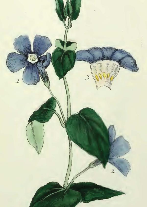 Lam.VTax2288.Lam2