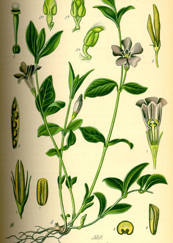 Lam.VTax2290.Lam10