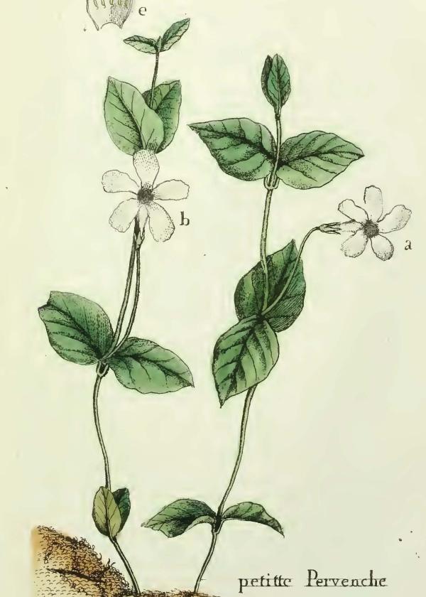 Lam.VTax2290.Lam2