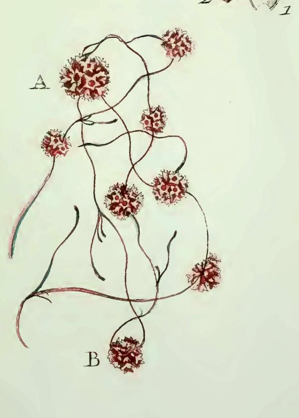 Lam.VTax2313.Lam3