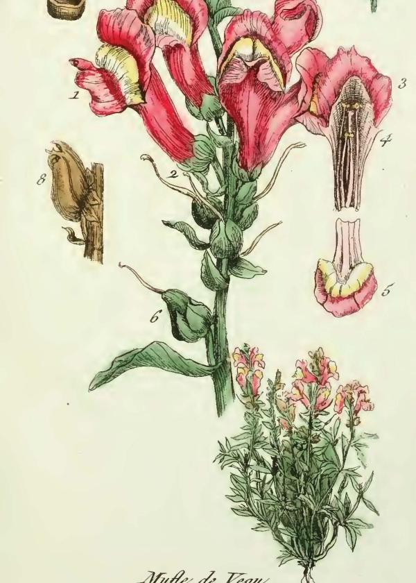 Lam.VTax2602.Lam2
