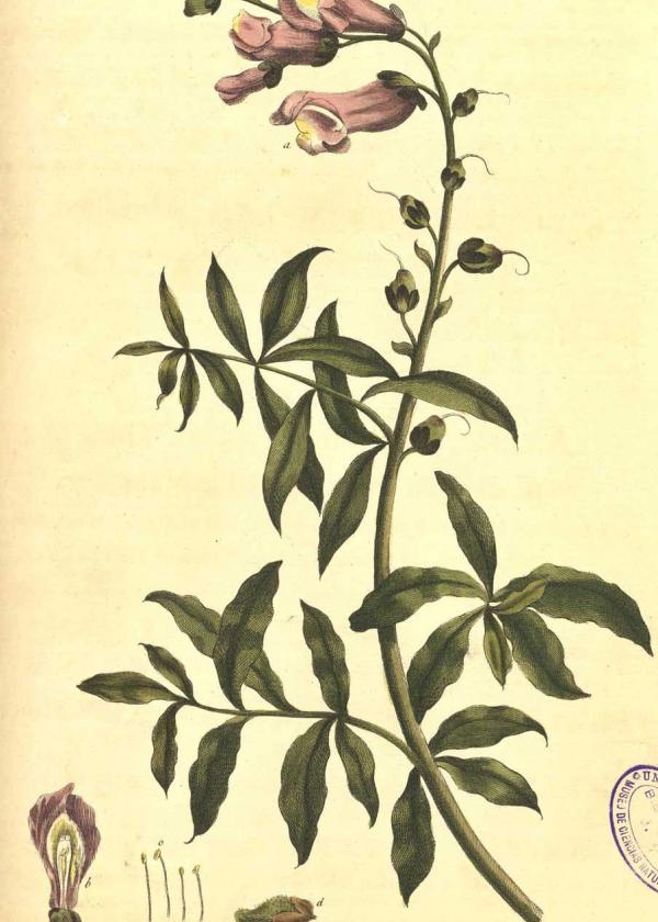 Lam.VTax2602.Lam6