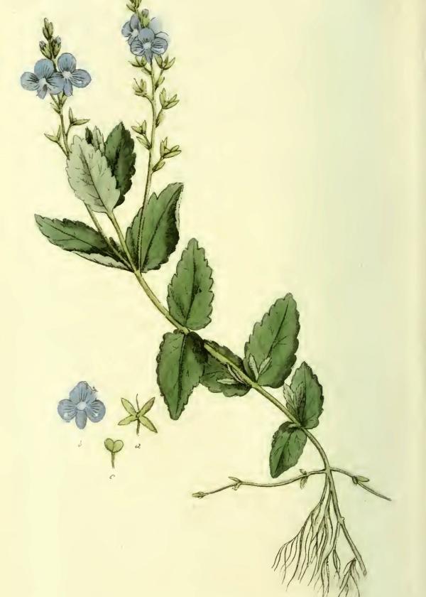 Lam.VTax2659.Lam2