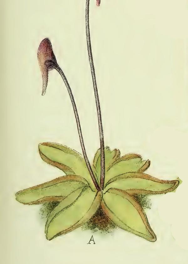 Lam.VTax2761.Lam2