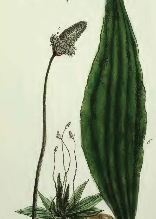 Lam.VTax2802.Lam2