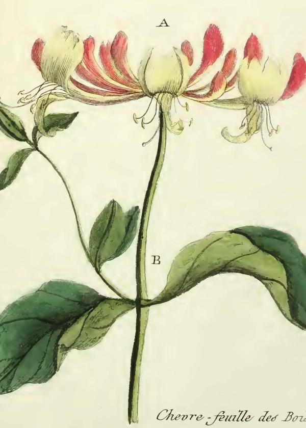 Lam.VTax2869.Lam4