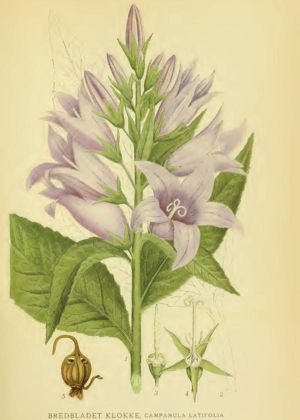 Lam.VTax2945.Lam3