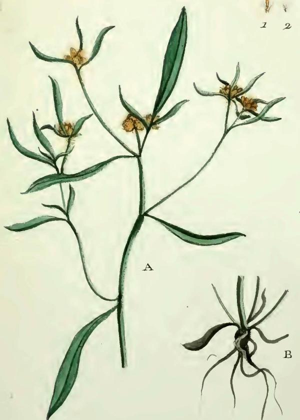 Lam.VTax3028.Lam2