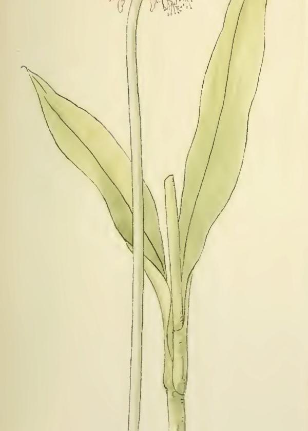 Lam.VTax3563.Lam3
