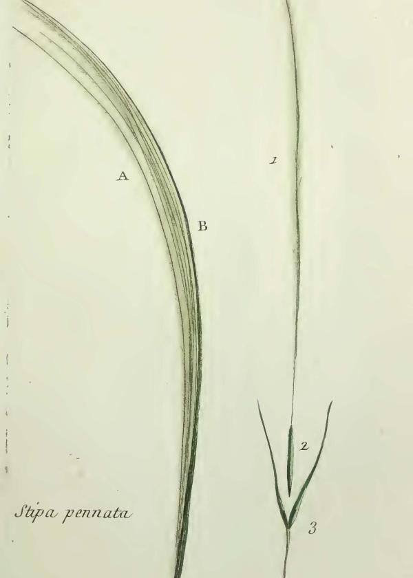 Lam.VTax4130.Lam2