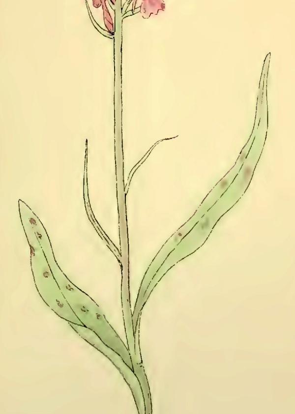 Lam.VTax4274.Lam6