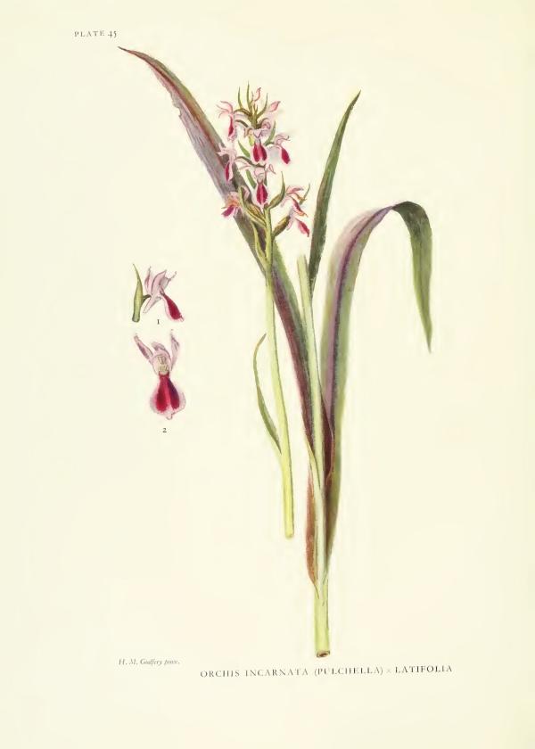 Lam.VTax4279.Lam11
