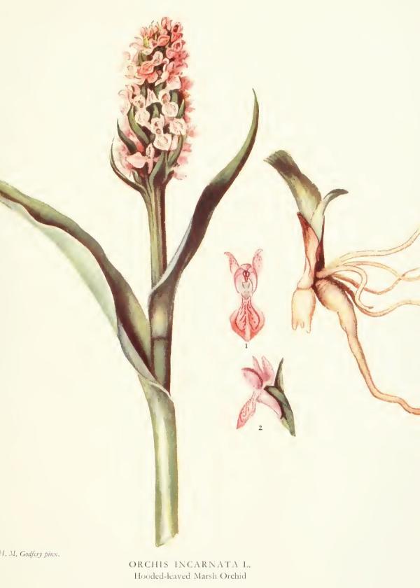 Lam.VTax4279.Lam6