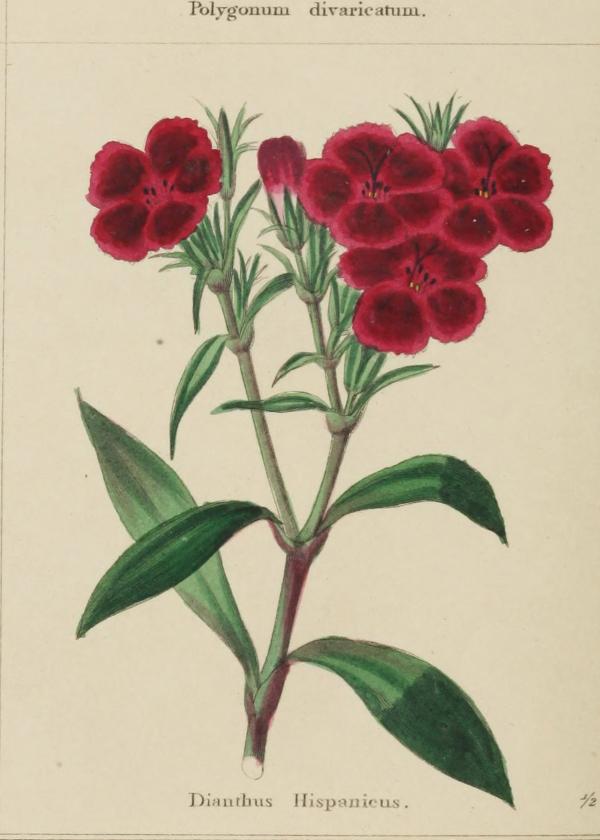 Lam.VTax4468.Lam1