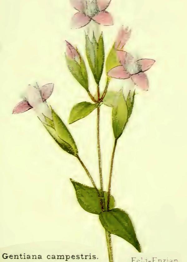 Lam.VTax4514.Lam3