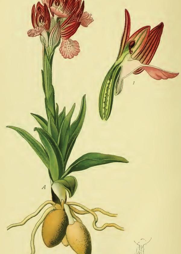 Lam.VTax4617.Lam6