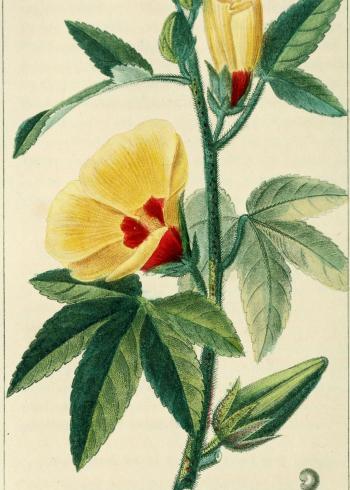 Lam.VTax1326.Lam2