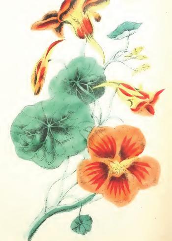 Lam.VTax1423.Lam6