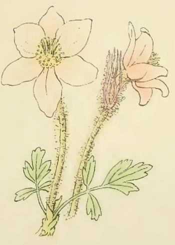 Lam.VTax191.Lam6
