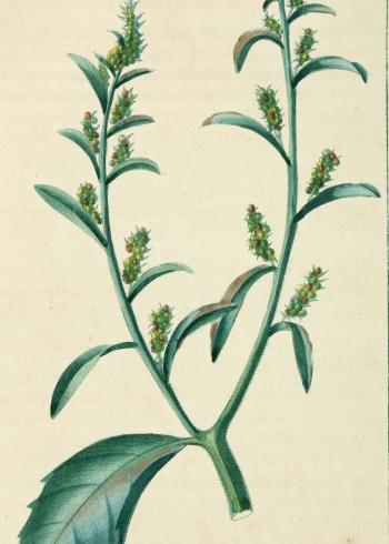 Lam.VTax2065.Lam2