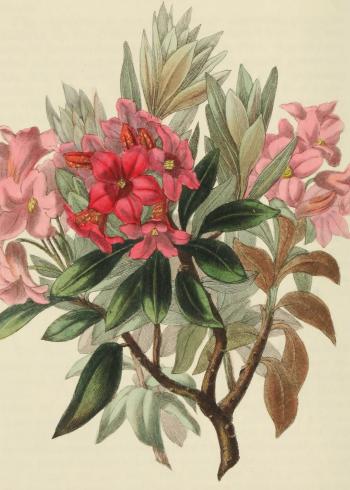 Lam.VTax2144.Lam3
