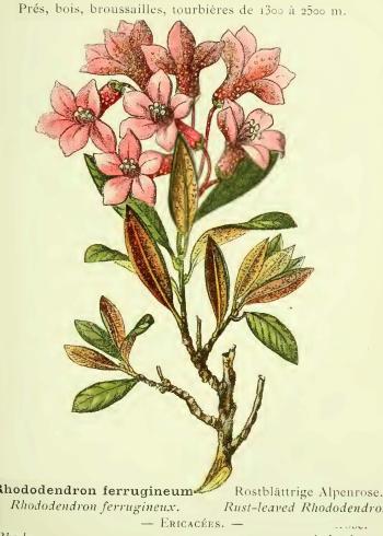 Lam.VTax2144.Lam5