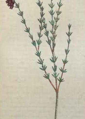 Lam.VTax2154.Lam6
