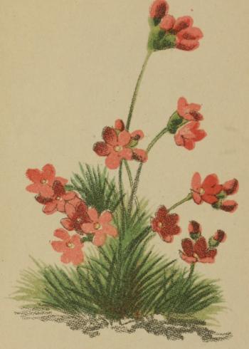 Lam.VTax2180.Lam3