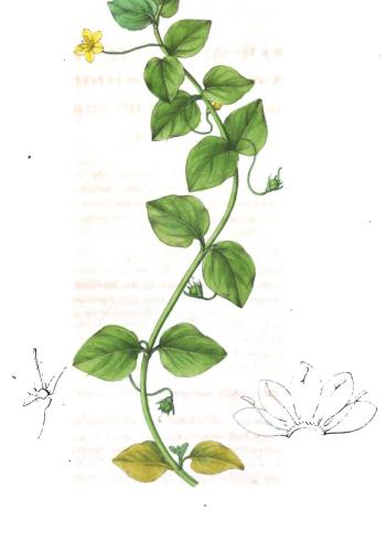 Lam.VTax2190.Lam3