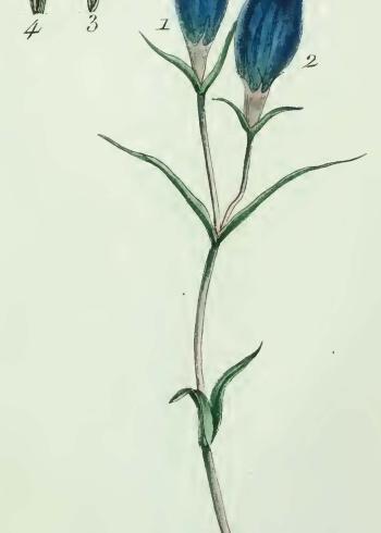 Lam.VTax2273.Lam2