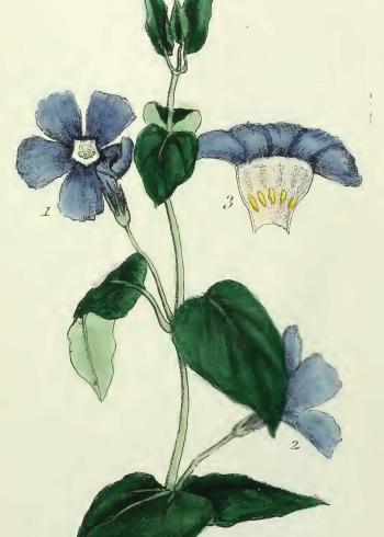 Lam.VTax2288.Lam2